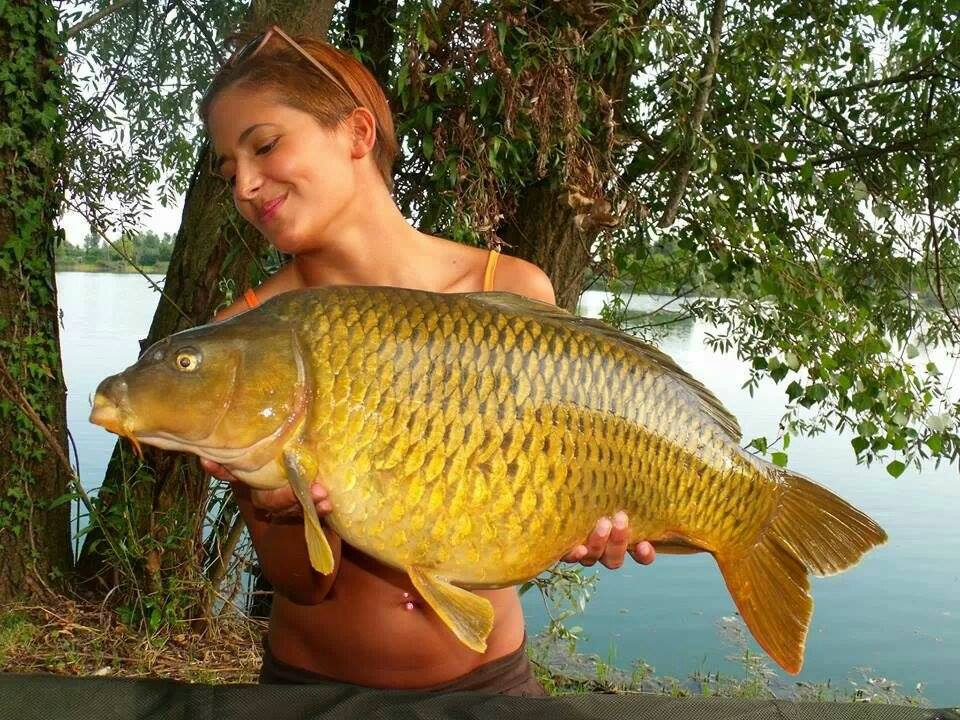 Carp Girl Fishing - carp-girl-fishing-5.bmp